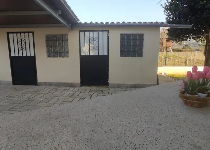 Rincon Del Mino * Tomiño